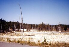 USA-Yellowstone_21.jpg